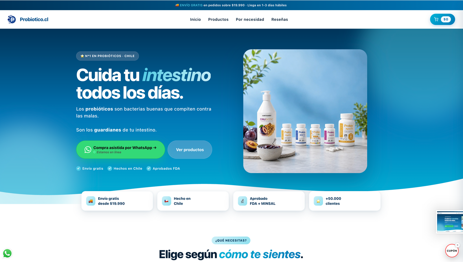 Representación provisional de la página de LA BONTE STORE, no es una captura real.