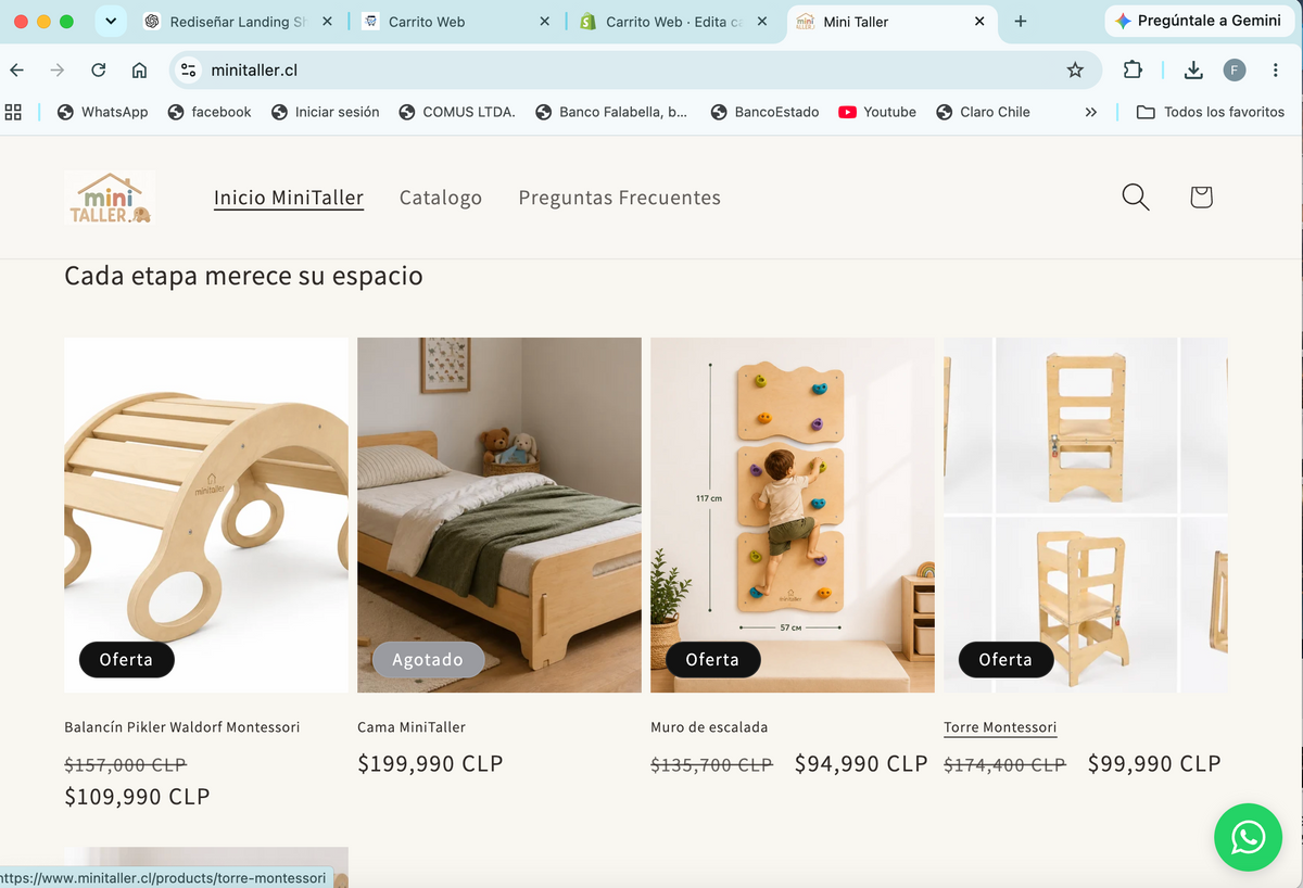 Representación provisional de la página de MINITALLER, no es una captura real.